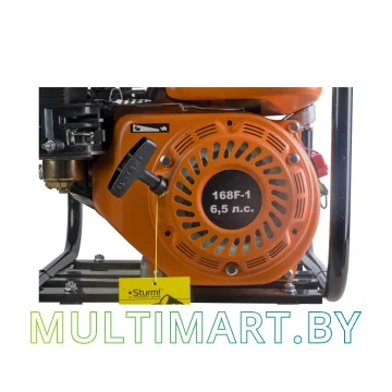 Мотопомпа Sturm BP8761 картинка 6